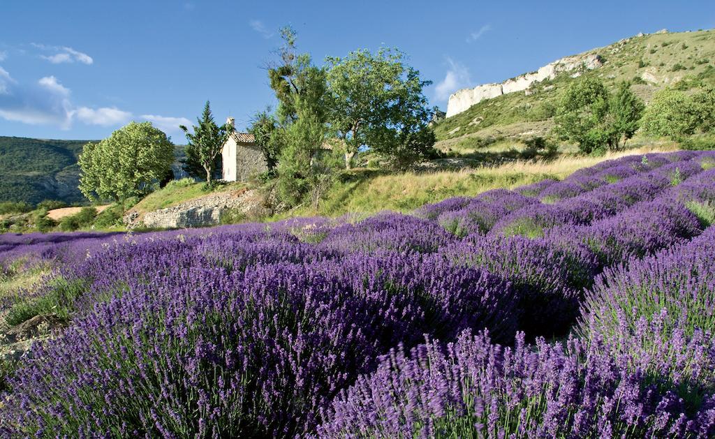 Le Clos De L'Ambre Divajeu Exterior foto
